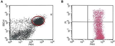 Altered Immune Response and Implantation Failure in Progesterone-Induced Blocking Factor-Deficient Mice